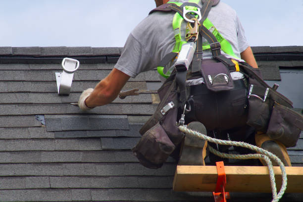 Best Wood Siding Installation  in Springville, VA