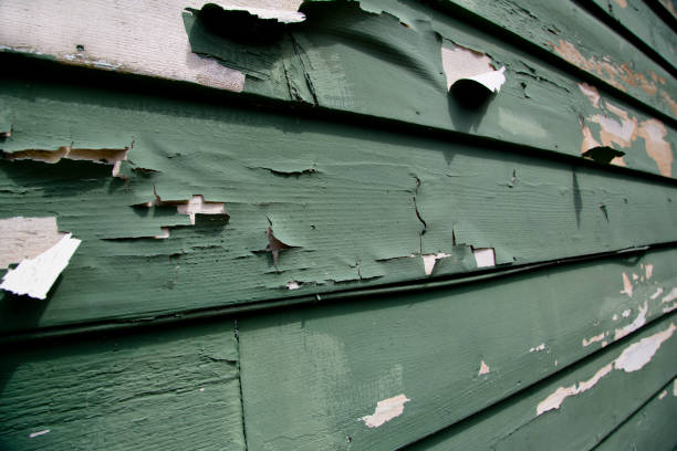 Affordable siding repair and maintenance services in Springville, VA
