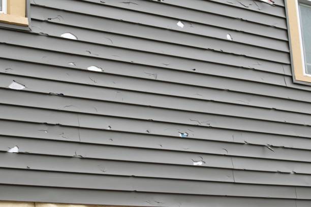 Best Insulated Siding Installation  in Springville, VA