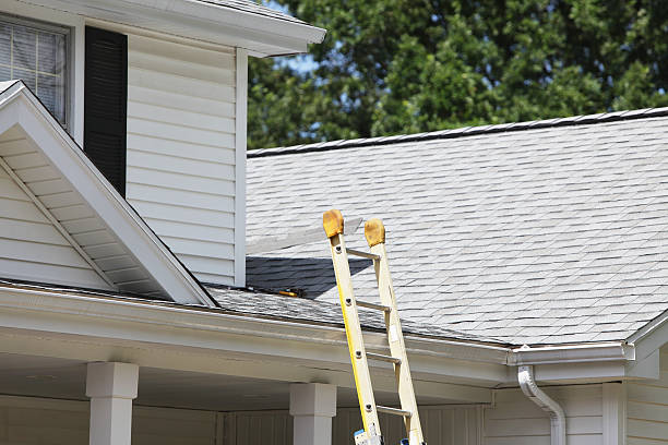 Best Storm Damage Siding Repair  in Springville, VA