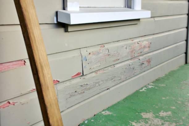 Best Storm Damage Siding Repair  in Springville, VA